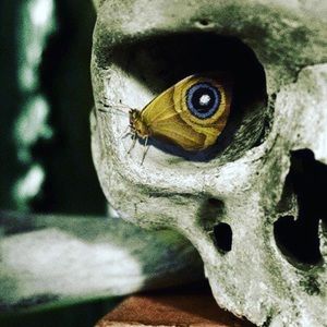 Meet your Posher, Abigail